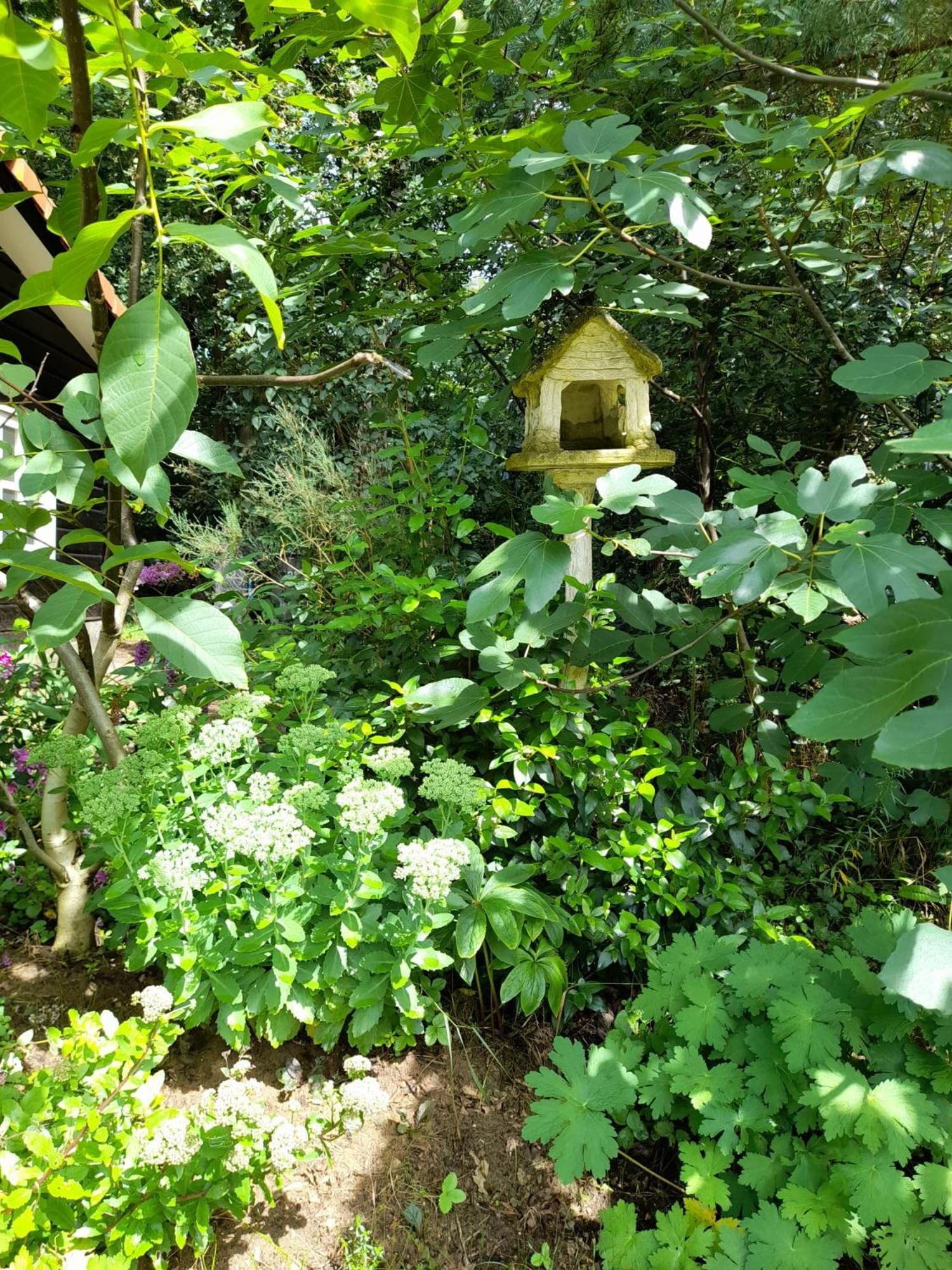 De Springop Villa Eefde ภายนอก รูปภาพ