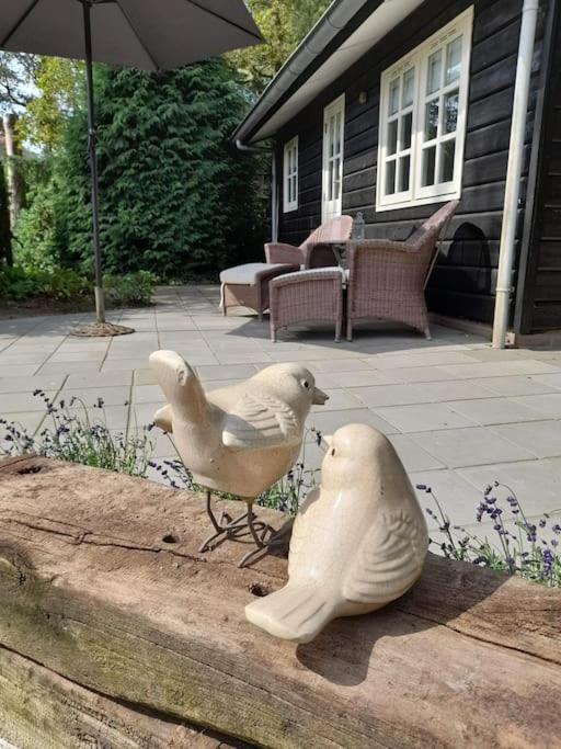 De Springop Villa Eefde ภายนอก รูปภาพ