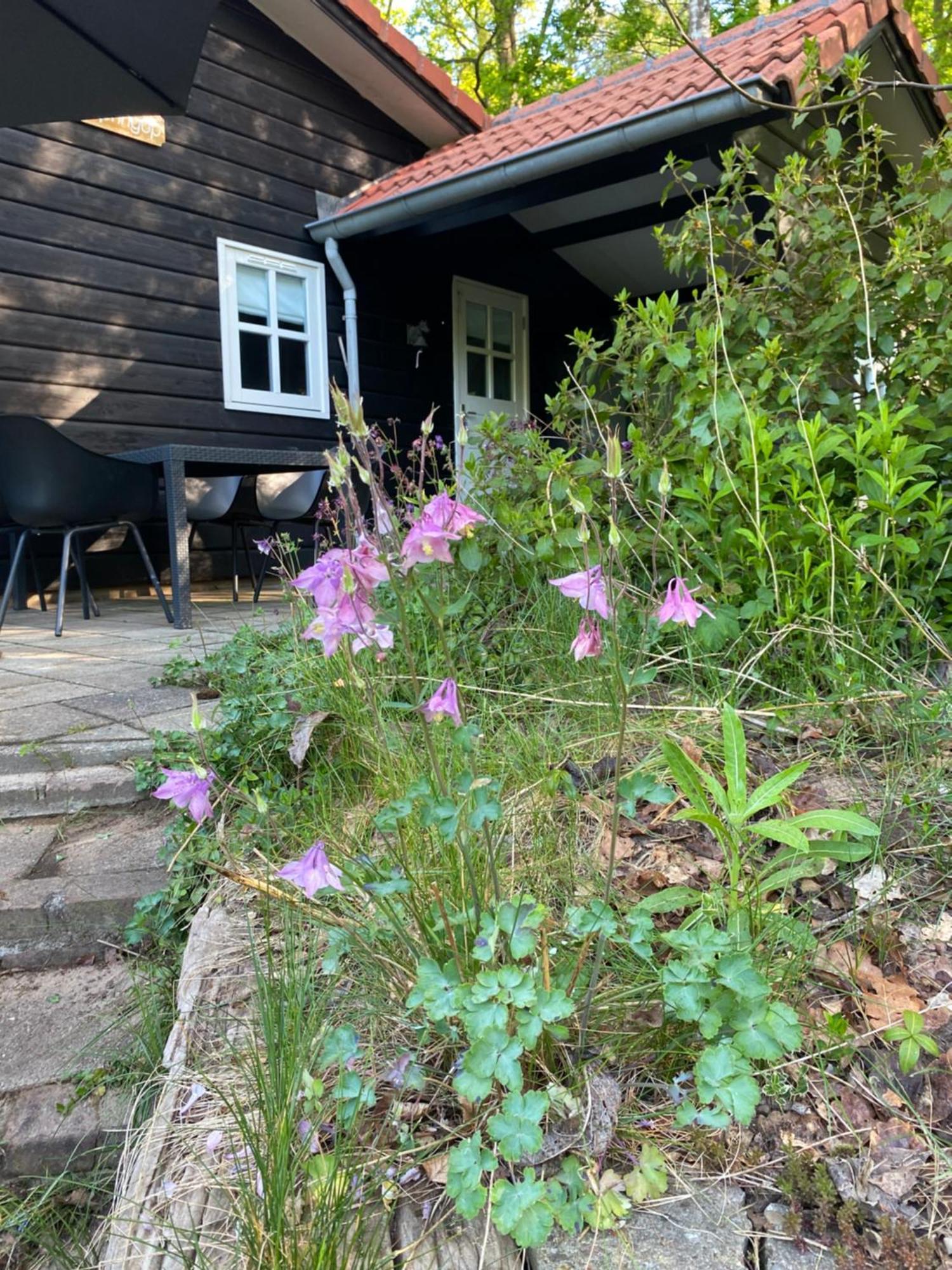 De Springop Villa Eefde ภายนอก รูปภาพ